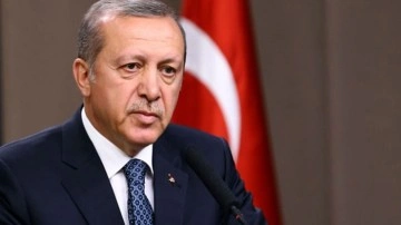 Cumhurbaşkanı Erdoğan: Çanakkale'de yangının yayılması durdu