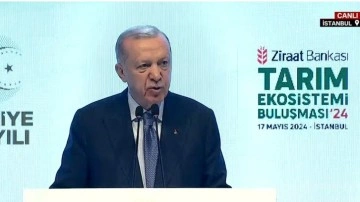Cumhurbaşkanı Erdoğan'dan çiftçilere indirim ve kredi müjdesi