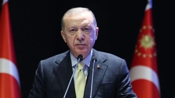 Cumhurbaşkanı Erdoğan'dan İYİ Parti Genel Başkanı Dervişoğlu'na tebrik