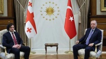 Cumhurbaşkanı Erdoğan: Gürcistan'la ticaret hedefimiz 5 milyar