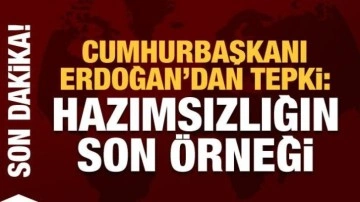 Cumhurbaşkanı Erdoğan: Hazımsızlıkları ilk değil son örneği