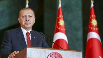 Cumhurbaşkanı Erdoğan'dan flaş Türk lirası çağrısı