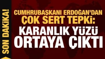 Cumhurbaşkanı Erdoğan'dan tepki: Karanlık yüzü ortaya çıktı