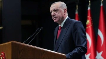 Cumhurbaşkanı Erdoğan'ın Kasım ayında diplomasi trafiği devam edecek