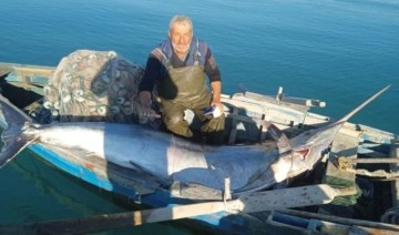 Daha önce görülmedi: Adana'da 274 kiloluk 'Blue Marlin' yakalandı