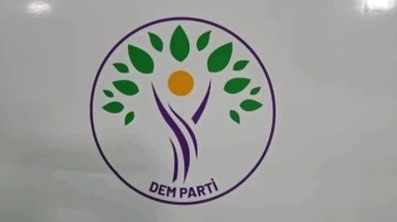DEM Parti Van Özalp Belediye Başkan adayı kim? DEM Parti Van Özalp adayı Sakine Kutpınar kimdir?