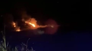 Denizli’de orman yangını kısa sürede söndürüldü