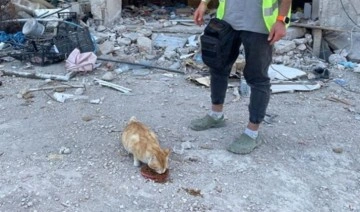 Depremden 76 gün sonra 'Ecevit'i canlı olarak buldular