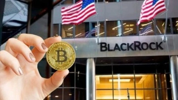 Dev Yatırım Yönetimi Şirketi BlackRock, BTC İçin Fon Kurdu