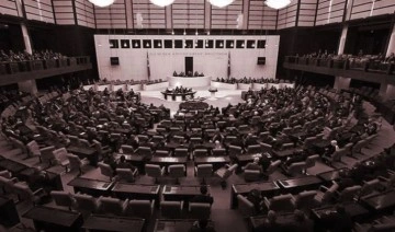 Devlet Bahçeli ve 8 AKP'li vekilin Meclis karnesi: Konuşmamaya yeminliler
