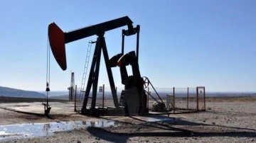 Diyarbakır Barosu petrol arama çalışmalarının iptali için dava açtı