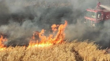 Diyarbakır'da ekili alanda çıkan yangın saatler sonra söndürüldü! Binlerce dönüm küle döndü
