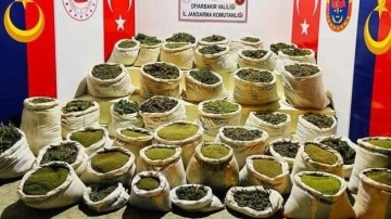 Diyarbakır'da narkoterör operasyonu! 1200 personel ve 75 operasyonel tim görev alıyor
