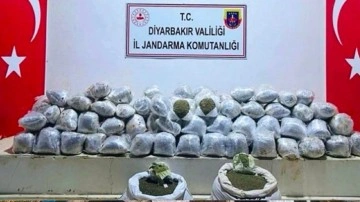 Diyarbakır'da uyuşturucu çetesine darbe!