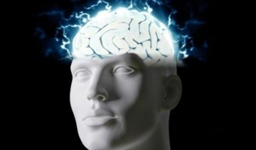 Doğrudan hafızaya etki ediyor: Beyindeki nöron sayısını arttırmak mümkün