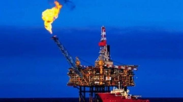 Doğu Akdeniz'de önemli gelişme: Yeni bir doğal gaz rezervi bulundu