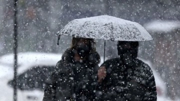 Doğu Anadolu'da kar yağışı etkili oluyor!