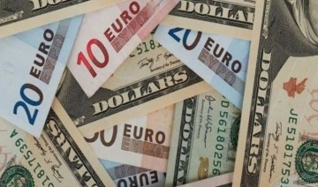 Dolar ve Euro ne kadar oldu? (1 Aralık 2022)