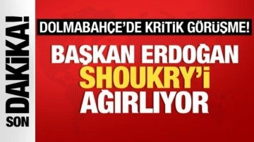 Dolmabahçe'de kritik görüşme! Cumhurbaşkanı Erdoğan Shoukry’i ağırlıyor