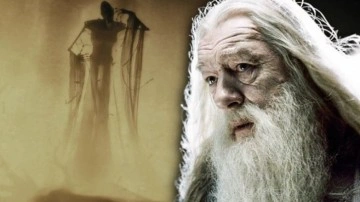 Dumbledore'u Merkezine Alan Meşhur Harry Potter Teorisi - Webtekno