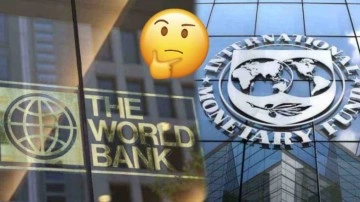 Dünya Bankası ile IMF Arasındaki Fark Nedir?