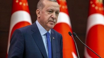 Dünyaca ünlü Politico'dan Cumhurbaşkanı Erdoğan'a övgü!