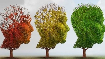 Dünyada her 3,2 saniyede bir kişi, Alzheimer'a yakalanıyor!