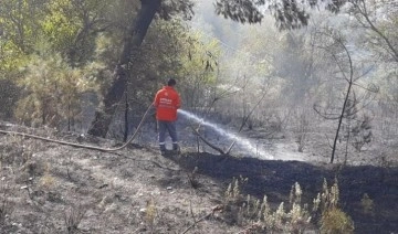 Düziçi'nde orman yangını: 50 dekar alan zarar gördü