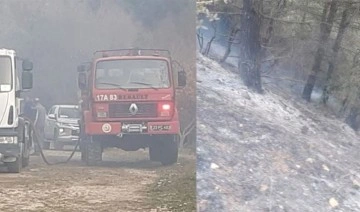 Edirne'de orman yangını: 4 dönüm alan zarar gördü
