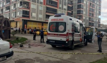 Edirne'de yolcu minibüsünün çarptığı kadın öldü