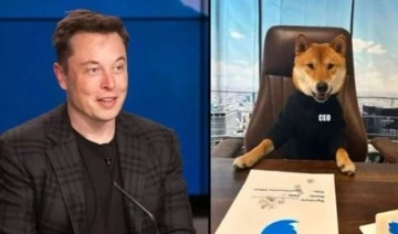 Elon Musk köpeğini Twitter'a CEO olarak atadığını açıkladı