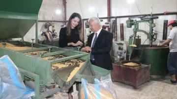 En çok nohut üretilen illerden Yozgat'ta ilk leblebi imalathanesini kurdu