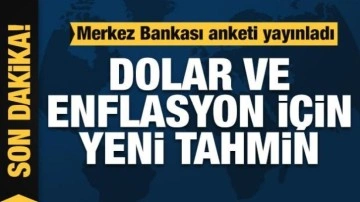 Enflasyon ve dolar beklentisinde düşüş: Merkez Bankası yeni anketi açıkladı