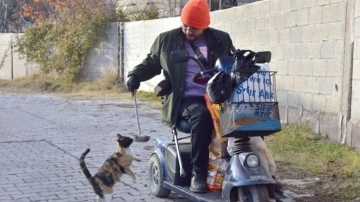 Engelli genç 10 yıldır akülü aracıyla dolaşarak sokak hayvanlarını besliyor