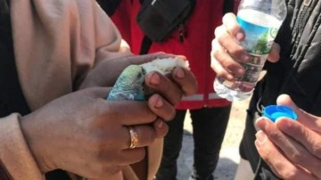 Enkazdan 55 saat sonra elindeki muhabbet kuşuyla kurtarıldı