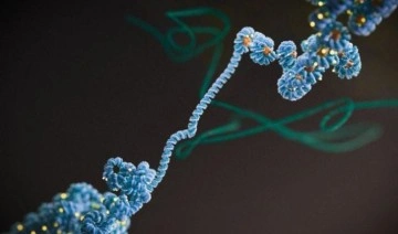 Epigenetik: Kanseri anlamak ve tedavi etmek için 'yeni bir eşik aşıldı'
