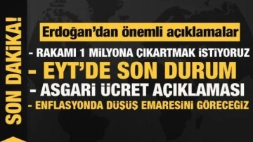 Erdoğan: Arsadaki sayıyı 1 milyona çıkartmak istiyoruz