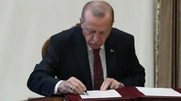 Erdoğan imzaladı! Kamuda yeni düzenleme 647 yeni kadro açıldı