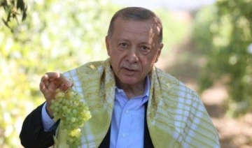 Erdoğan, kuru üzüm alım fiyatını açıkladı, Kemal Kılıçdaroğlu'nu hedef aldı
