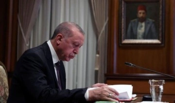 Erdoğan'dan gece yarısı atama kararnamesi: Vekil olamadı TİGEM'e atandı