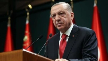 Erdoğan'dan önemli çağrı: Sahiplenmeye davet ediyorum