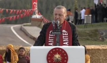 Erdoğan'dan seçim öncesi yeni hamle: Çiftçilere faizsiz kredi