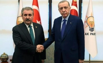 Erdoğan'la görüşen Destici, Kızılay Başkanı'na bir kez daha istifa çağrısı yaptı