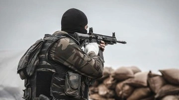 Eren Abluka Operasyonunda biri gri kategoride 2 PKK'lı etkisiz hale getirildi