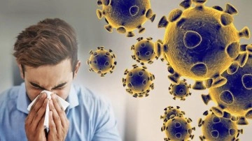 Eris virüsü nedir, öldürür mü? Covid-19’un yeni varyantı: Türkiye'de eris virüsü var mı?