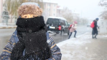 Erzincan’a 2024 yılının ilk karı yağdı