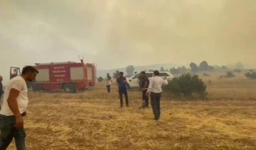 Erzincan’da orman yangını çıktı