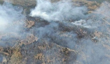 Erzincan'daki orman yangınında 13 hektar alan kül oldu
