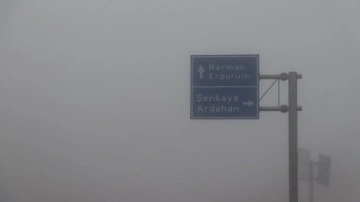 Erzurum Oltu'da yoğun sis yaşandı, sürücüler zor anlar yaşadı