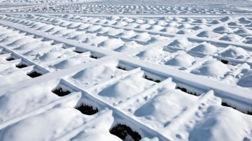 Erzurum'da kış hazırlığı: Toprak donmadan bin mezar kazıldı!